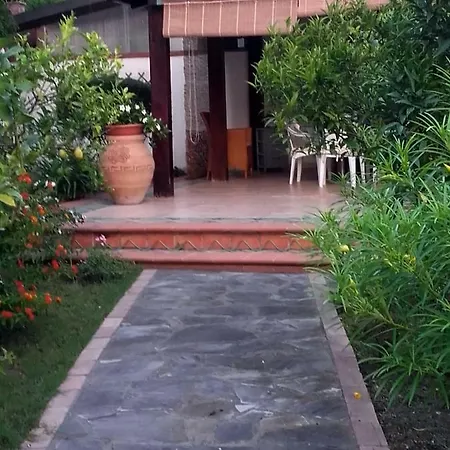 Luisa